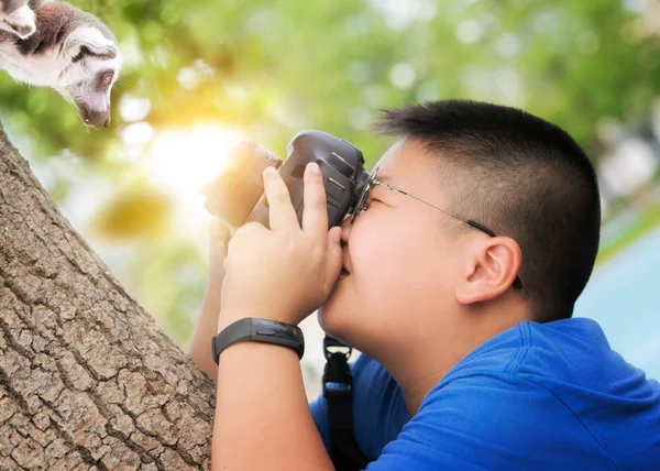 Asian kid take a photo animal — Stock Photo, Image