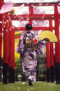 Kimono yürüyüş tapınağın Japonya kadın