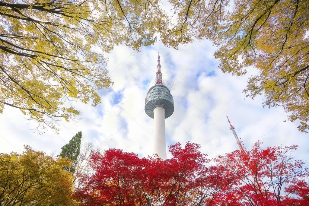 N seoul tower with autumn and blue sky