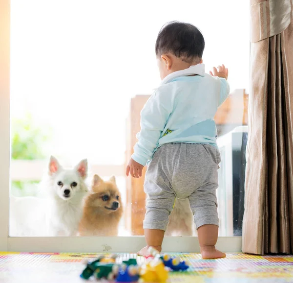 赤ちゃんと犬 — ストック写真