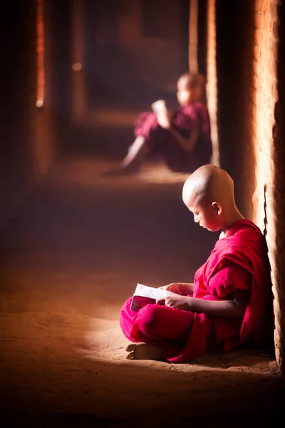 Монах учится в храме — стоковое фото