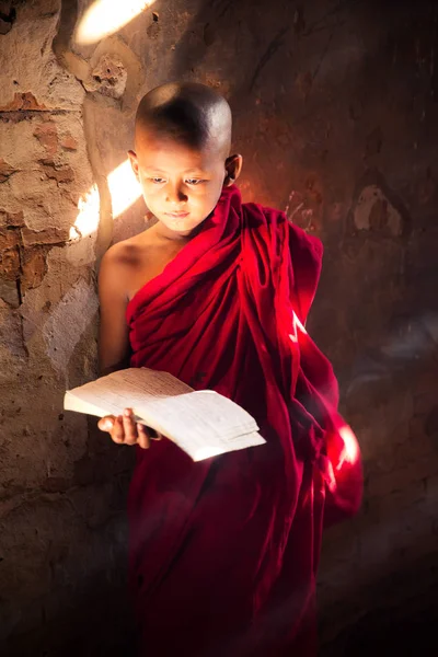 Estudio monje en templo por leer un libro — Foto de Stock