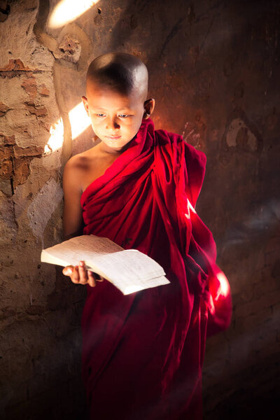 Monk study in temple by read a book