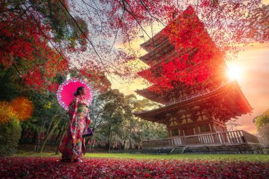 Geleneksel kimonolu Japon kız parkta yürüyor.