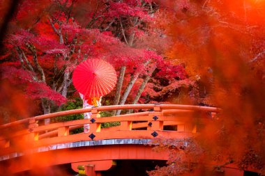 Geleneksel kimini elbiseli Japon kız Digoji Köprüsü 'nde yürüyor 