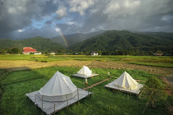 Nan Pua Lçesi Ndeki Pirinç Çiftliğinde Kır Evi — Stok fotoğraf