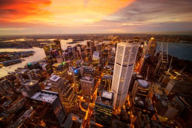 Kule 'nin çatısından Sydney şehrinin manzarası