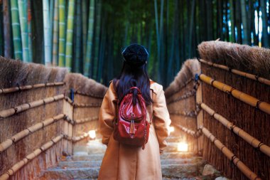 Asyalı gezgin arashiyama 'daki bambu ormanında yürüyor.