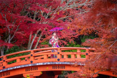 Kimono elbiseli Japon kız ve sonbahar parkı