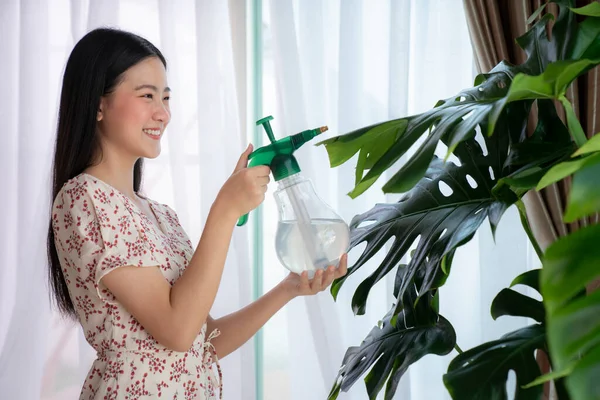 Asian Girl Water Plants House Image Can Use Monstera Leaves — Stock Photo, Image