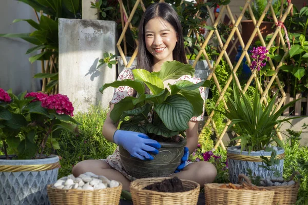 Mulher Asiática Planta Uma Flor Seu Jardim Esta Imagem Pode — Fotografia de Stock
