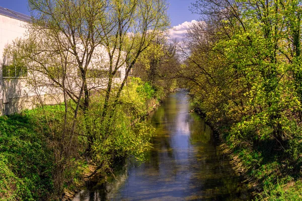 A small river between small trees,branches and green leafs on a sunny spring day in Germany