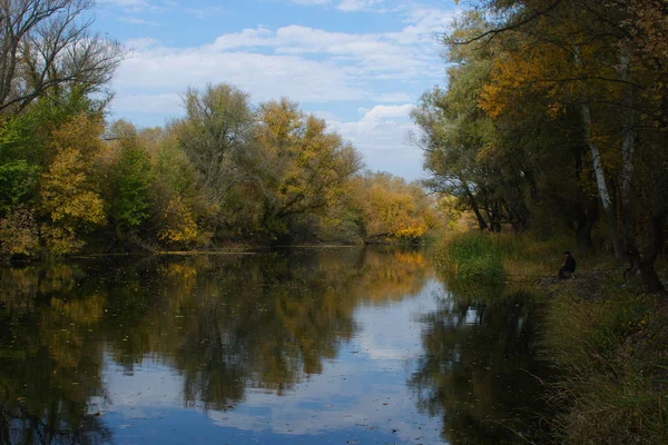 Natur och landskap i Ukraina — Stockfoto