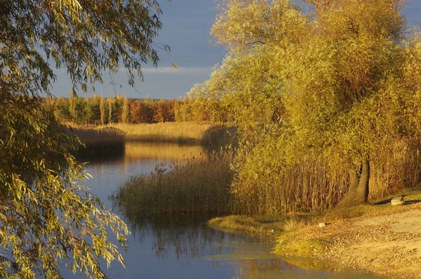 Przyroda i krajobrazy Ukrainy — Zdjęcie stockowe