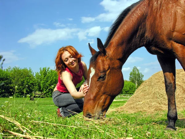 夏の日の農場で馬の若い女性と — ストック写真