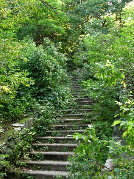 Escaleras viejas — Foto de Stock