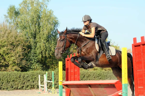 Adolescente chica saltar con castaño caballo — Foto de Stock