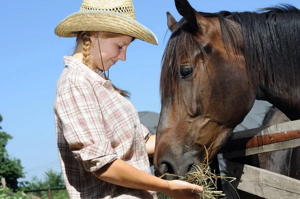 若い騎乗位とファームの馬 — ストック写真