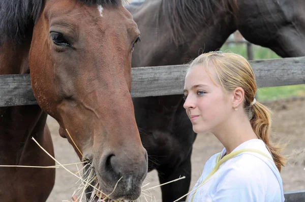 Nastoletnie dziewczyny, karmienie koni w farmie — Zdjęcie stockowe