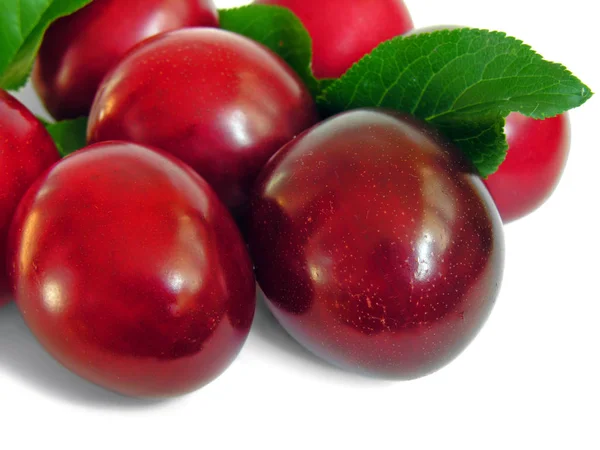 Ripe plum,isolated on white — Stock Photo, Image