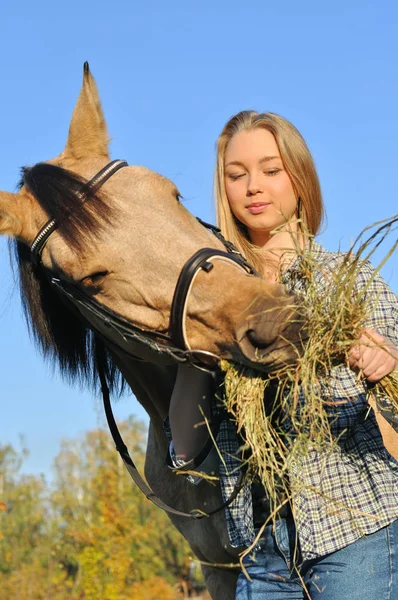 晴れた日の馬を供給する 代の少女 — ストック写真