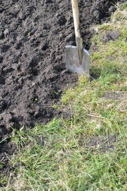 sebze bahçesinde - mevsimlik çalışma hazırlamak zemin, siyah toprak