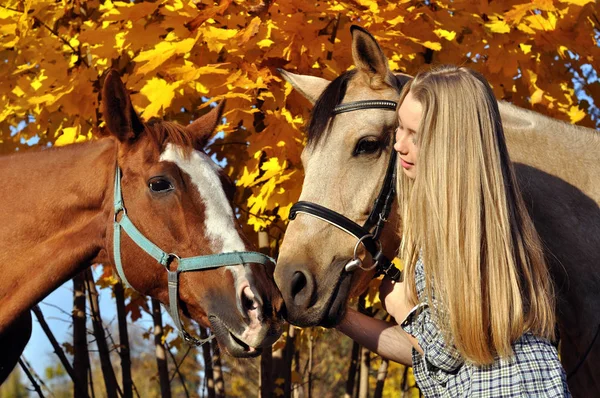 10 代の少女と馬の肖像画 — ストック写真
