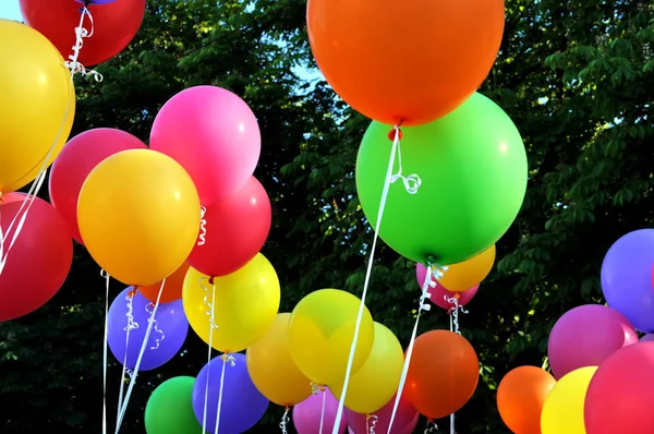 Multicolored Balloons City Festival Trees Backgroun — Stock Photo, Image