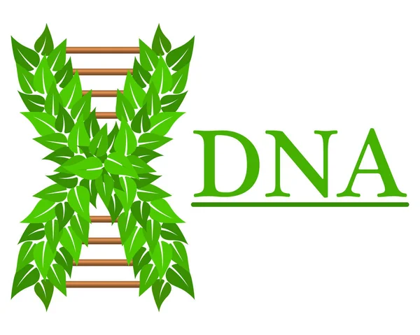 Logo Dna Zdravotní Střediska Biotechnologie — Stockový vektor