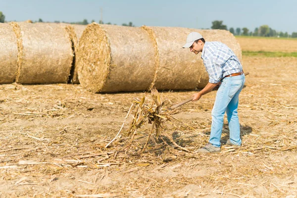 Agricultor trabajando en el campo —  Fotos de Stock