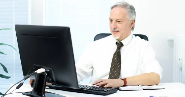 Senior affärsman arbetar på dator — Stockfoto