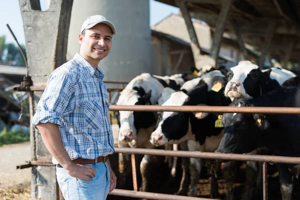 Criador frente a sus vacas — Foto de Stock