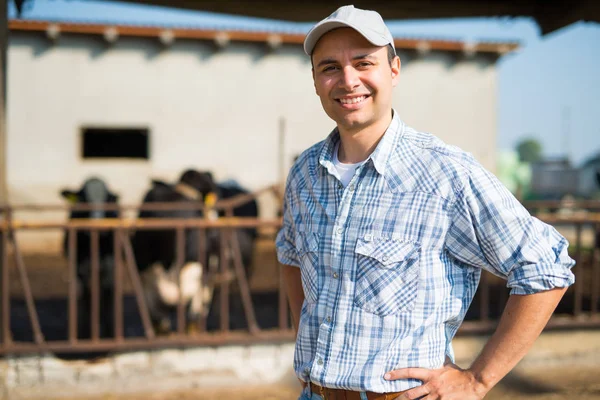 Criador frente a sus vacas —  Fotos de Stock