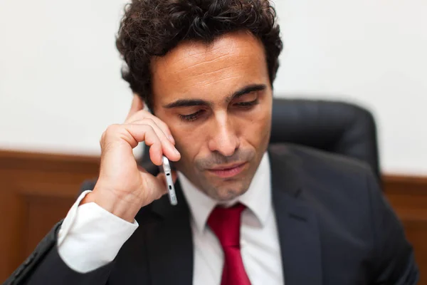 Empresario hablando por teléfono —  Fotos de Stock