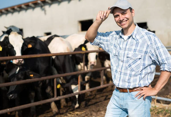Breeder in front of his cows — Stock Photo, Image