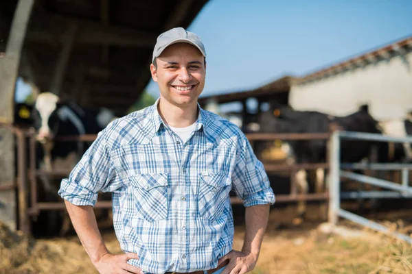 Farmer in front of his cows — Stock Photo, Image