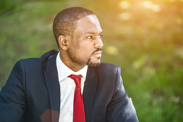 Hombre de negocios guapo al aire libre — Foto de Stock