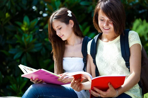 Estudantes do sexo feminino estudando ao ar livre — Fotografia de Stock