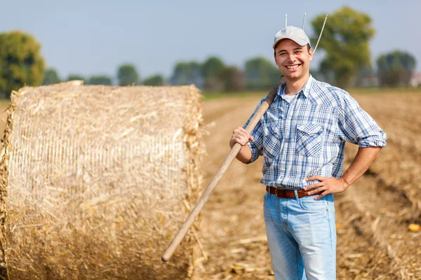 Granjero en un prado sosteniendo puntas — Foto de Stock