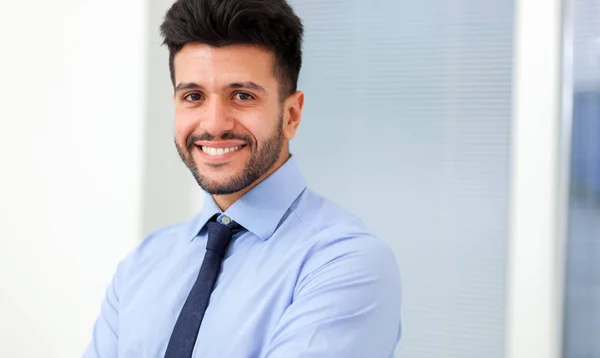 Handsome businessman in the office — Stock Photo, Image