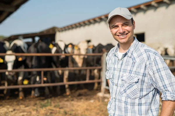 Criador frente a sus vacas — Foto de Stock