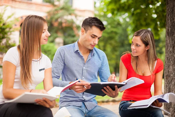 Étudiant partageant leurs notes en plein air — Photo