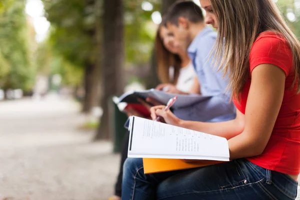 Studenta čtení notebook venkovní — Stock fotografie