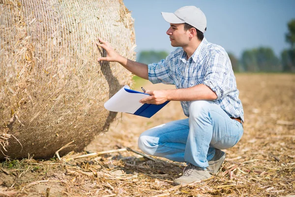 農夫が干し草をチェック ベール品質 — ストック写真
