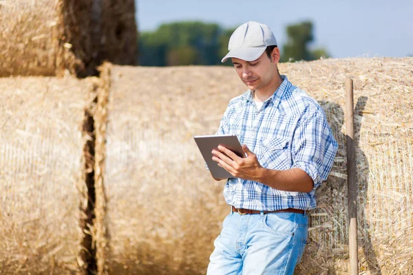 Agricultor moderno usando tablet — Fotografia de Stock