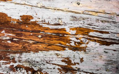 ahşap doku arkaplanı