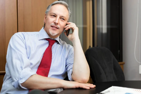 Empresário falando ao telefone — Fotografia de Stock