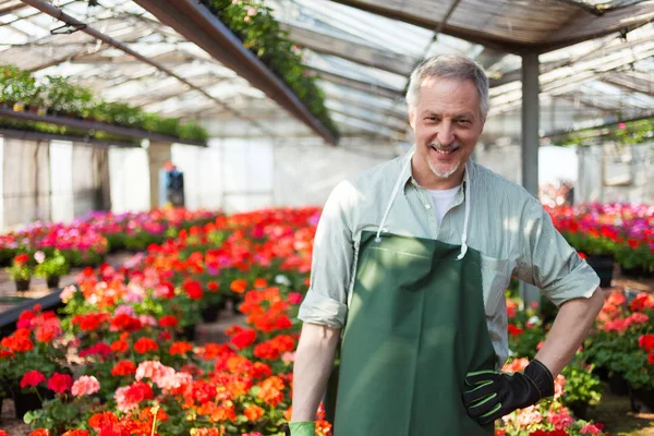 Smiling greenhouse worker — Stock Photo, Image