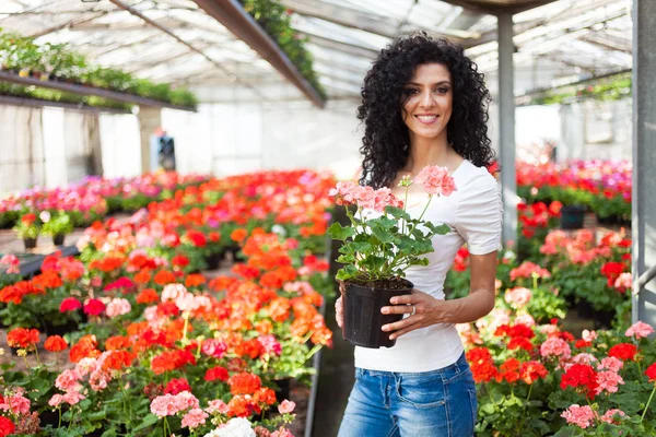 Woman shopping in greenhouse — Stock Photo, Image