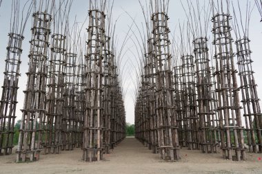 Sebze Katedrali Lodi, İtalya